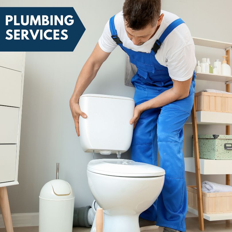 Plumbing Company in Ivesdale, IL